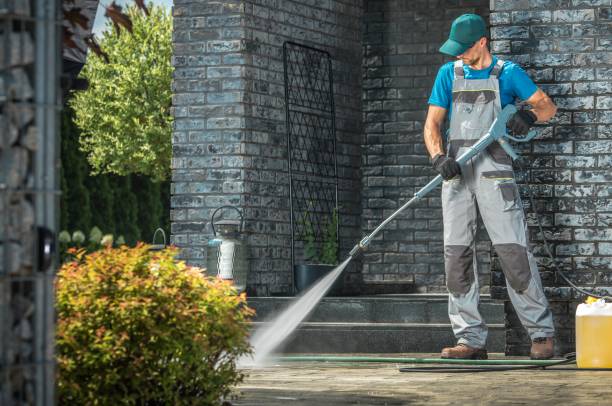 Best Gutter Cleaning and Brightening in Mayer, MN